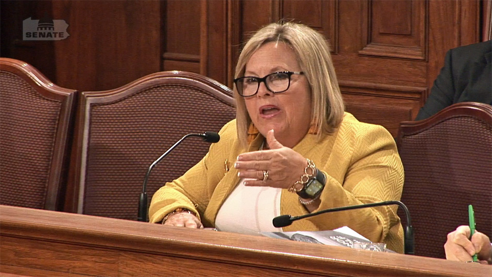 2/24/20 – Budget Hearing Q&A: Aging (Part 2)