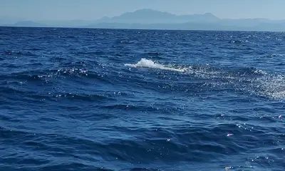 Sayulita Report Video 1