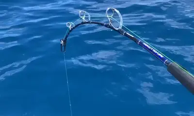 Denarau Island Report Video 0