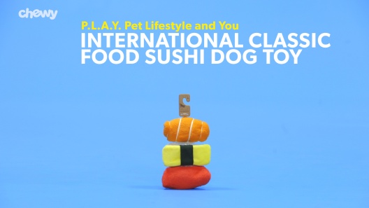 Play Video: Learn More About P.L.A.Y. Pet Lifestyle and You From Our Team of Experts