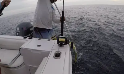 Panama City Report Video 0