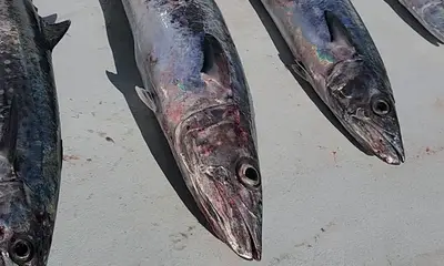 Pompano Beach Report Video 0