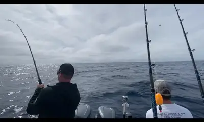 Tavernier Report Video 0