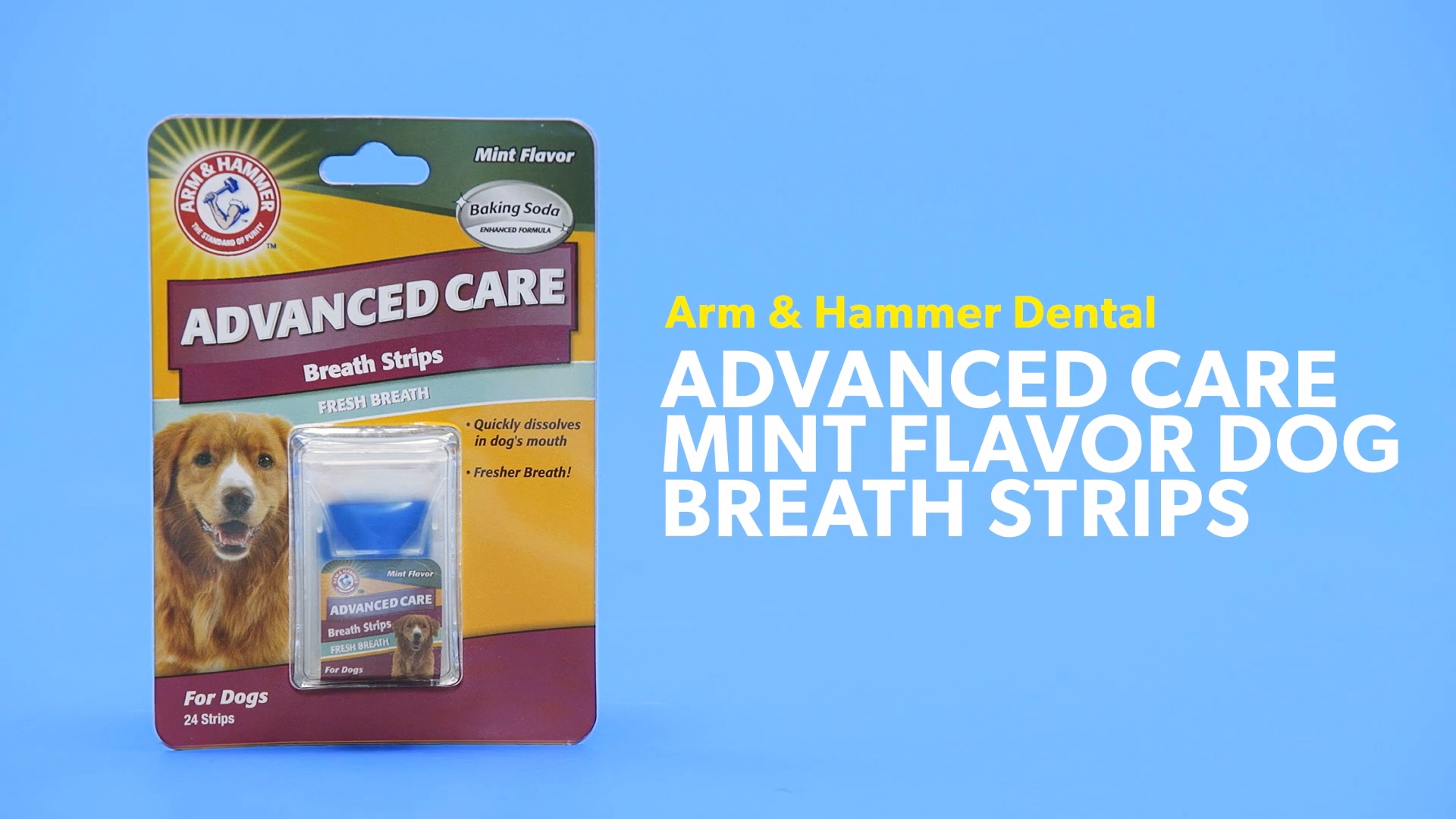 Discontinued ARM HAMMER Dental Advanced Care Mint Flavor Dog Breath Strips 24 count Chewy