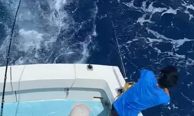 Jupiter Report Video 0