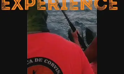 Cozumel Report Video 0
