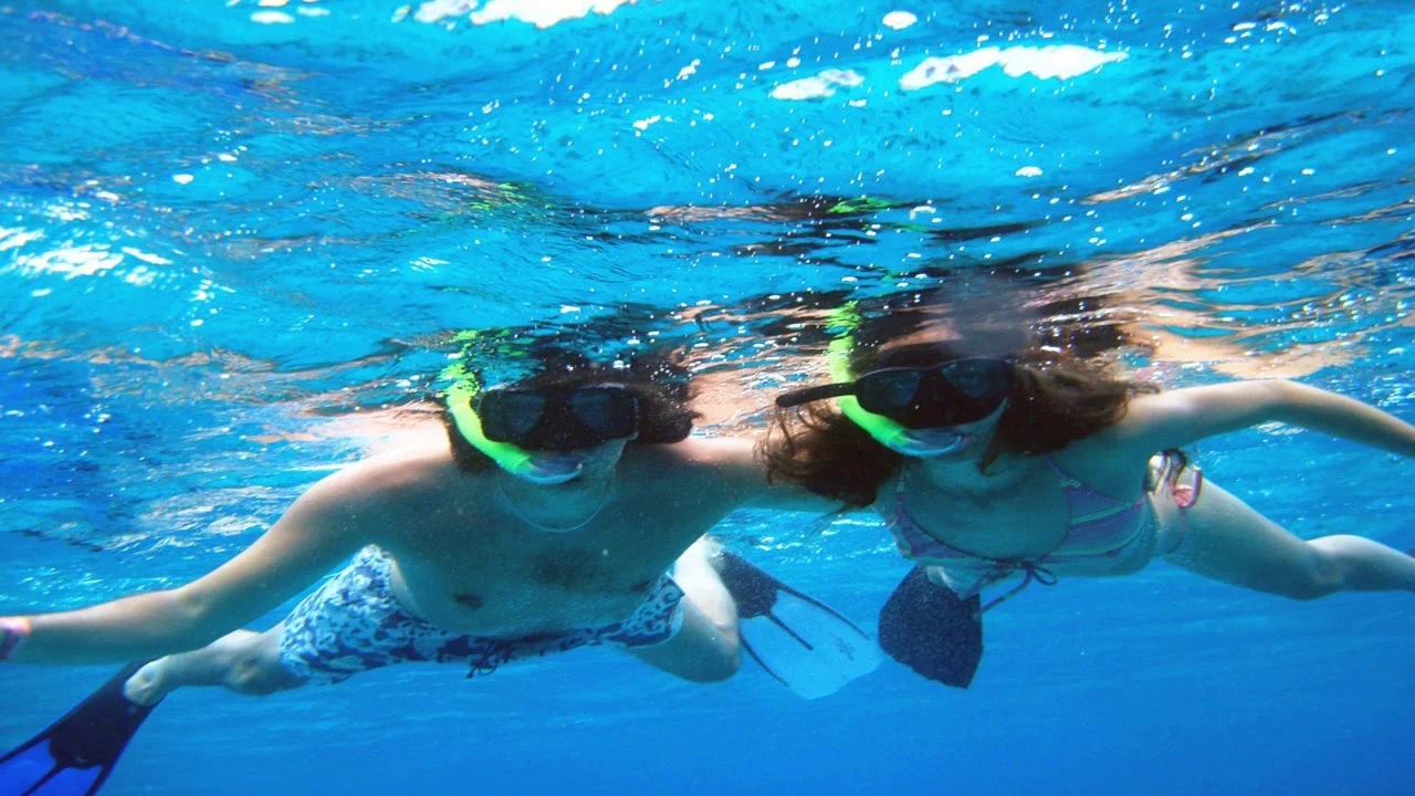 1 Cozumel Private Snorkeling Tour for Groups & Families