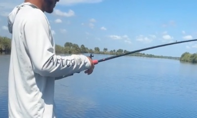 LaBelle Report Video 2