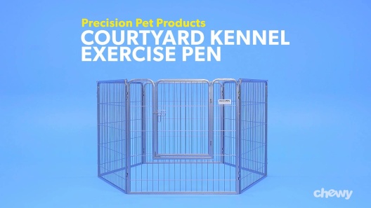 Play Video: Learn More About Precision Pet Products From Our Team of Experts