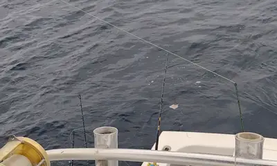 Wanchese Verslag Video 1