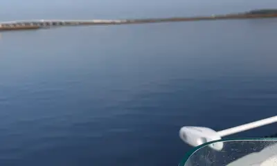 Jacksonville Report Video 0