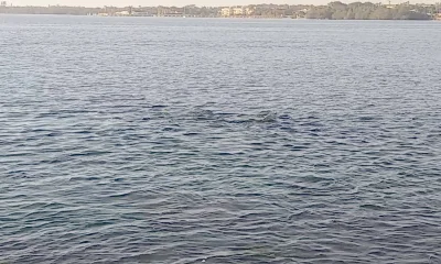 Jensen Beach Bericht Video 0