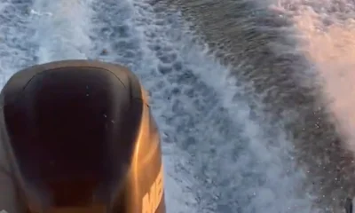 New York City Report Video 0