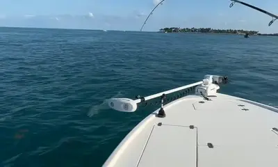Key West Report Video 1