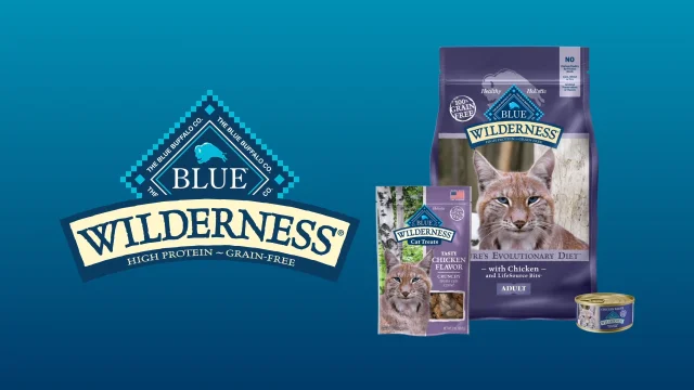 blue buffalo cat food reviews 2019