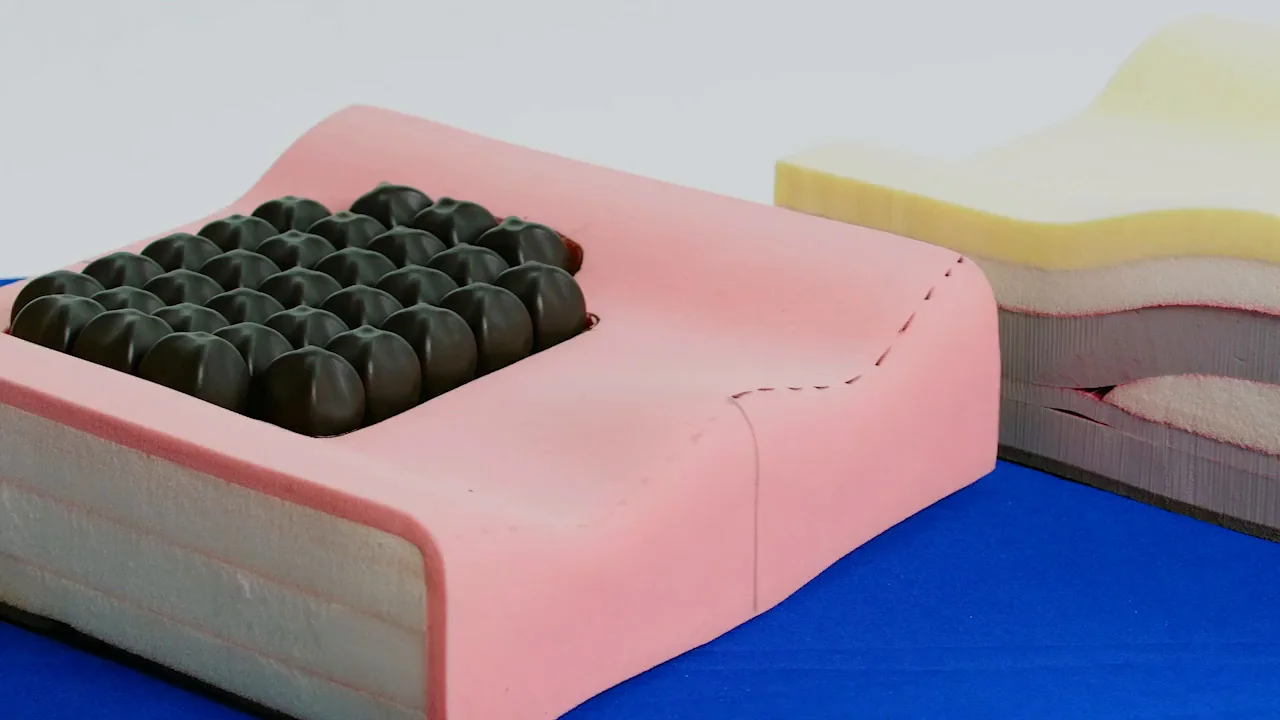 The Inception Cushion