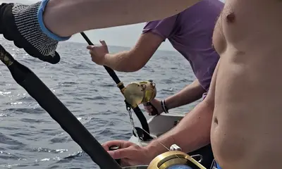 Ponta Delgada Report Video 1