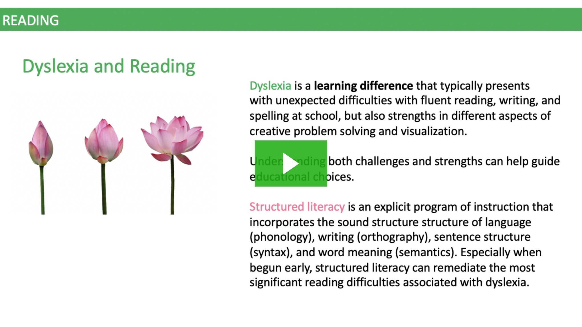 Reading and Structured Literacy