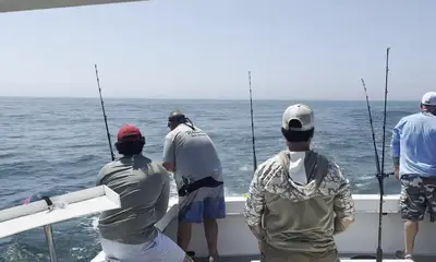 Wildwood Report Video 0