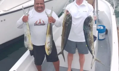 San Jose del Cabo Report Video 0