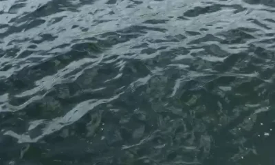Tequesta Report Video 0