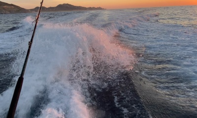 Cabo San Lucas Report Video 1