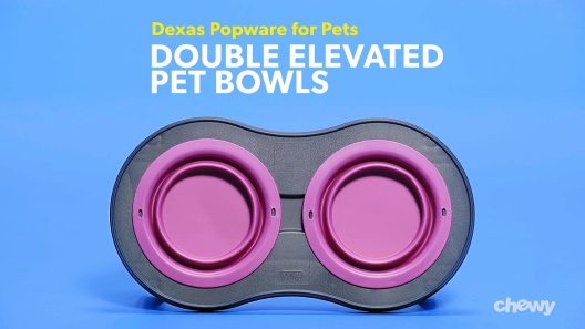 Big Bowl - Extra Large Plastic Water Bowl for Dogs, 1.25 Gallon/ 160 Oz.  Capacit