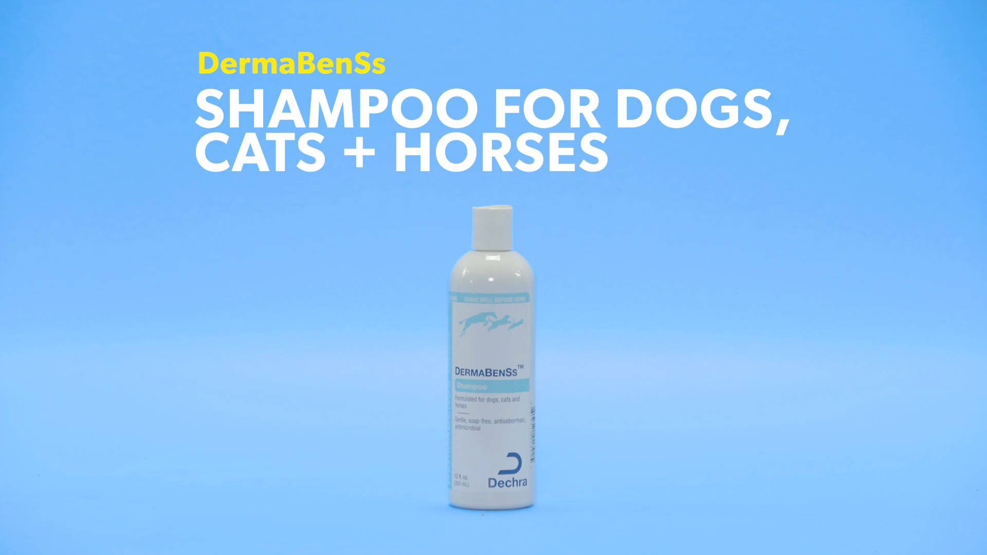 Dermabenss shampoo for store dogs