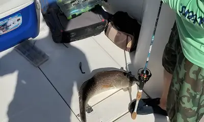 Virginia Beach Report Video 0