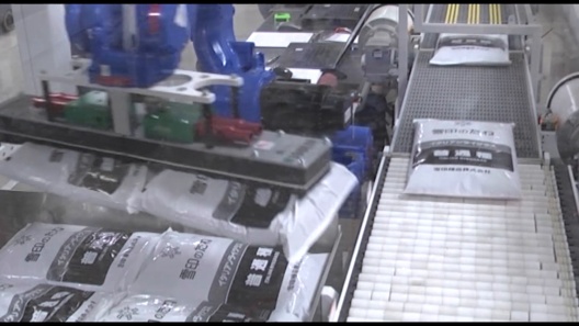 SV303 Double Tight Wrap with Robot: Pillow Bags