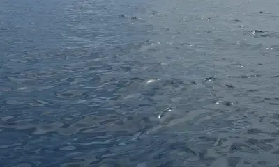 Great Fishing Trip