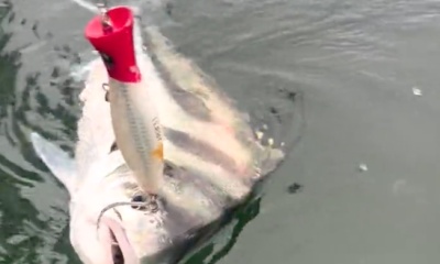 Paquera Report Video 1