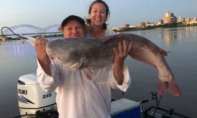 Memphis Report Video 0