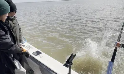 Bay Area Report Video 2