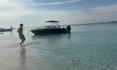 The perfect afternoon! So perfect we did it twice!