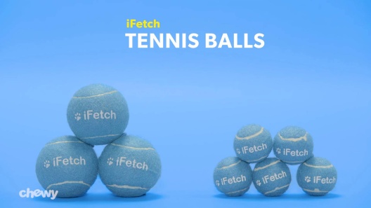 Play Video: Learn More About iFetch From Our Team of Experts