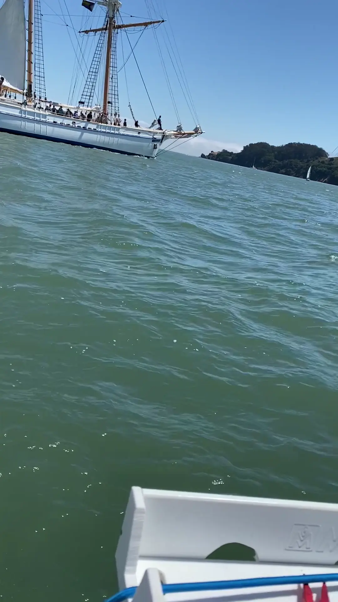 Business Card: Mollys Boats with Captain Molly