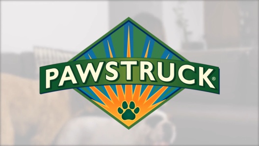 Play Video: Learn More About Pawstruck From Our Team of Experts