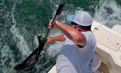 Gloucester Point Report Video 0