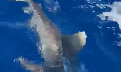 Mauritius Report Video 2