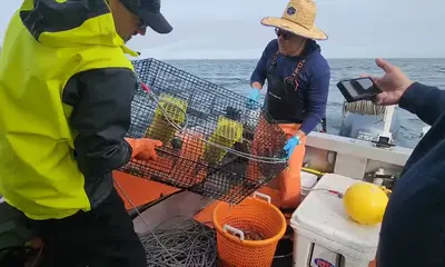 Seattle Report Video 0