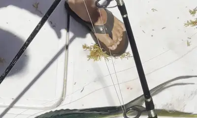Key Biscayne Bericht Video 1