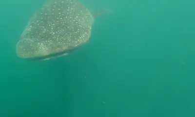 Panama City Report Video 1