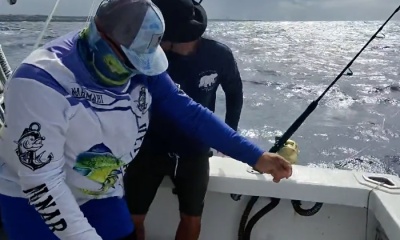 Very good fishing day