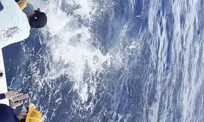 Key West Report Video 0