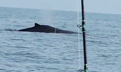 Point Pleasant Report Video 0
