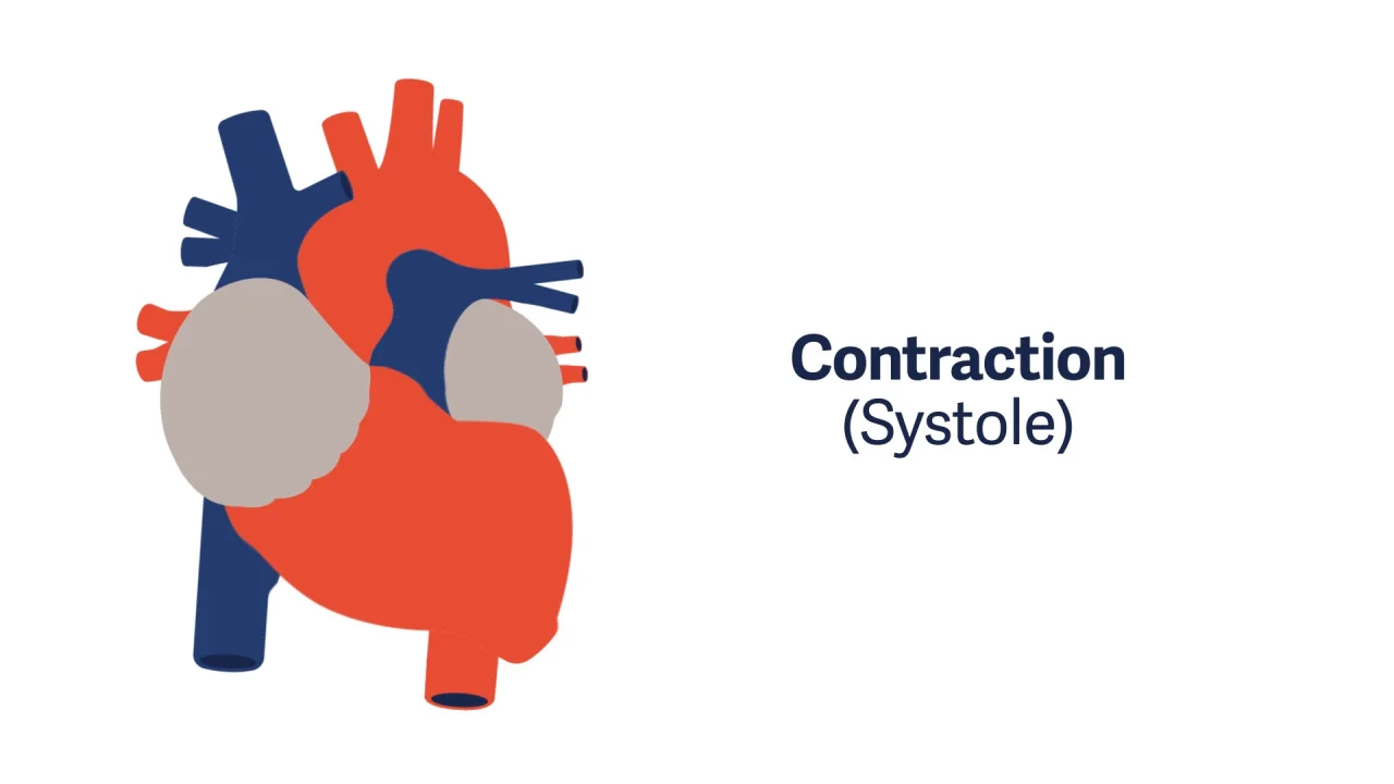 Basics of hemodynamic monitoring video series