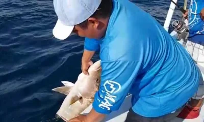 Playa Del Carmen Report Video 0