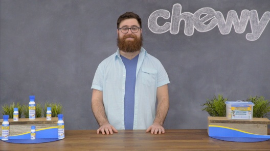 Play Video: Learn More About API From Our Team of Experts