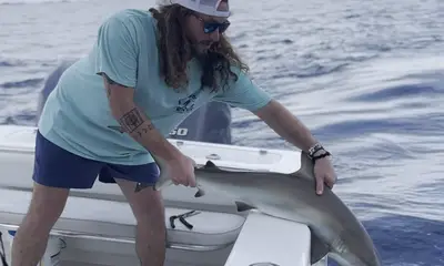 Great 1/2 day afternoon 